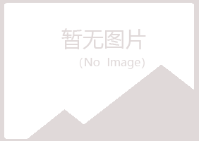 龙岩山柏能源有限公司